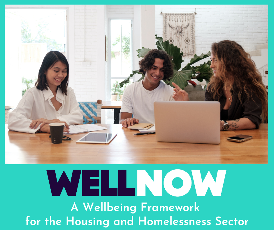 WellNow banner EDM